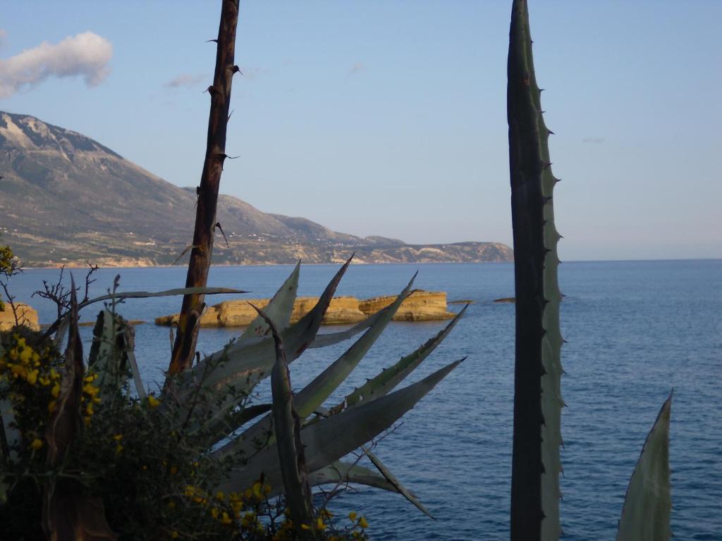 Kefallonia Bay Resort Spartià Eksteriør bilde